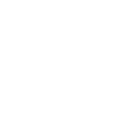 pistol icon